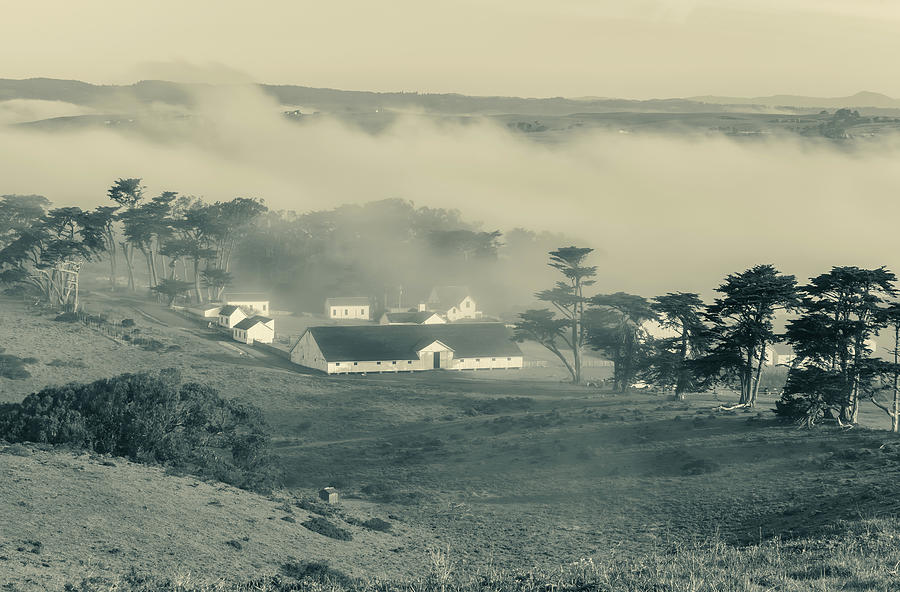fog over pierce ranch monochrome by Jonathan Nguyen fog over pierce ranch monochrome by Jonathan Nguyen