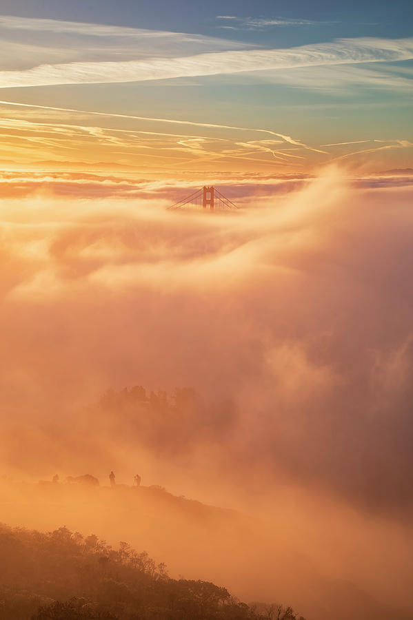 Fog Paradise Photograph by Vincent James