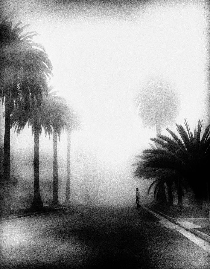 Fog Photograph by Roxana Labagnara
