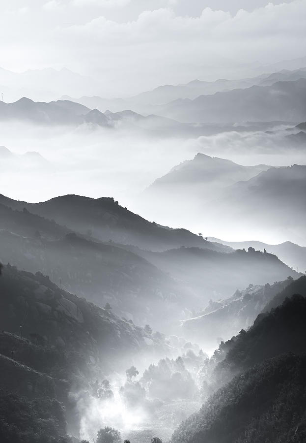 Fog by Stanley Lee