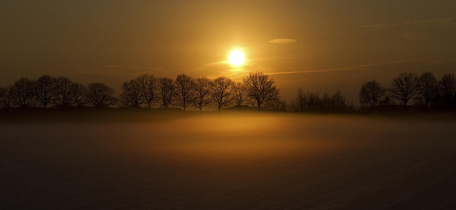 Fog Photograph by Wieteke De Kogel