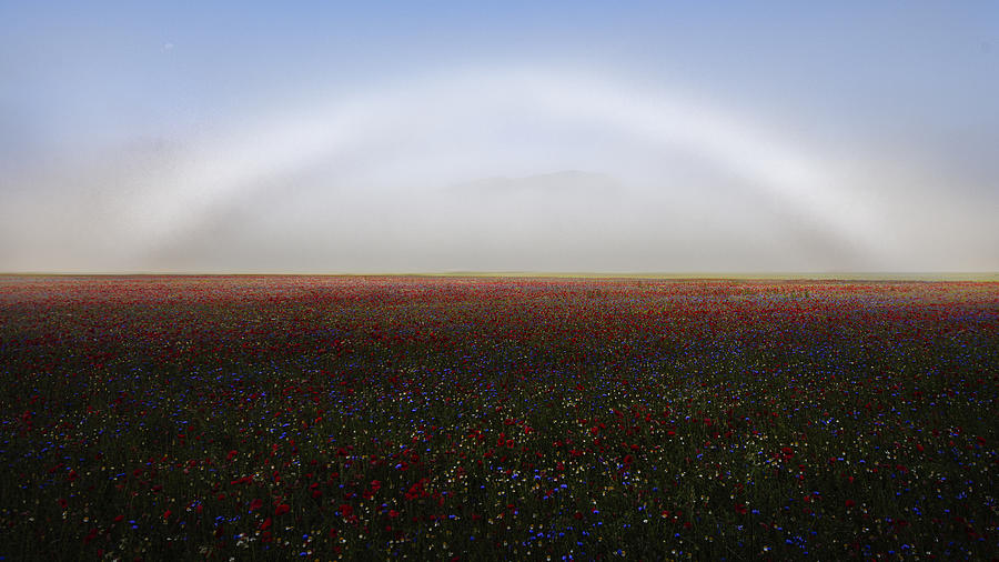 Fogbow Photograph by Roberto Marchegiani