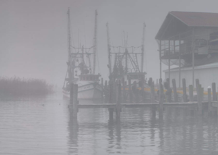 Fogged In Photograph by Bill Chambers