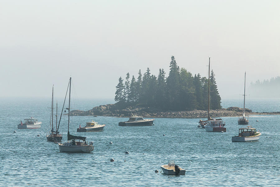 Foggy Afternoon at Seal Harbor Photograph by Stefan Mazzola