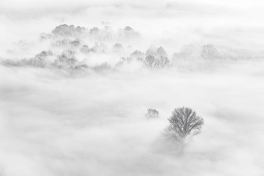 Landscape Photograph - Foggy Atmosphere by Fiorenzo Carozzi
