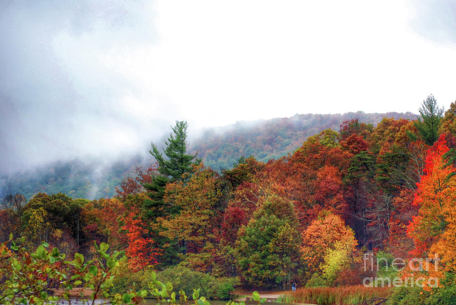 Foggy Autumn Views Photograph by Kerri Farley