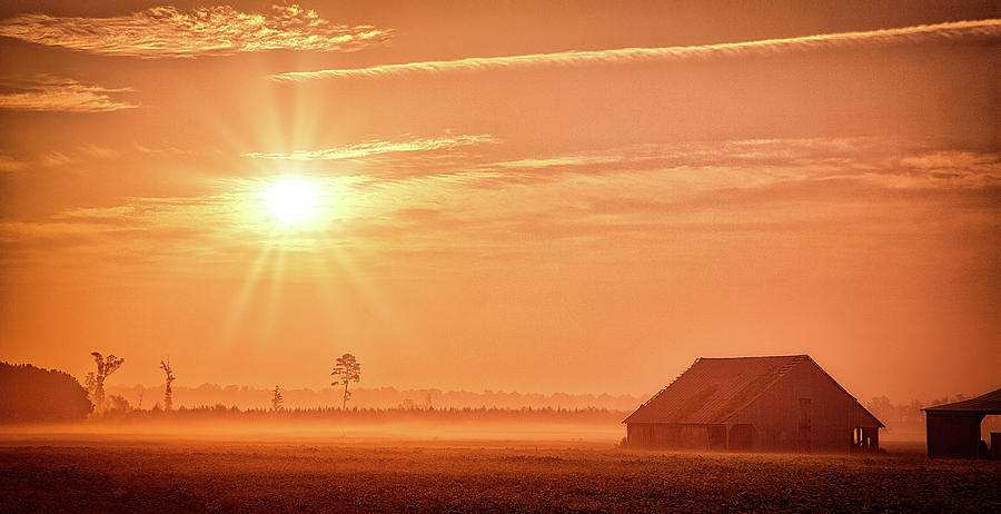 Foggy Barn and Fields Sunrise Photograph by Dan Carmichael