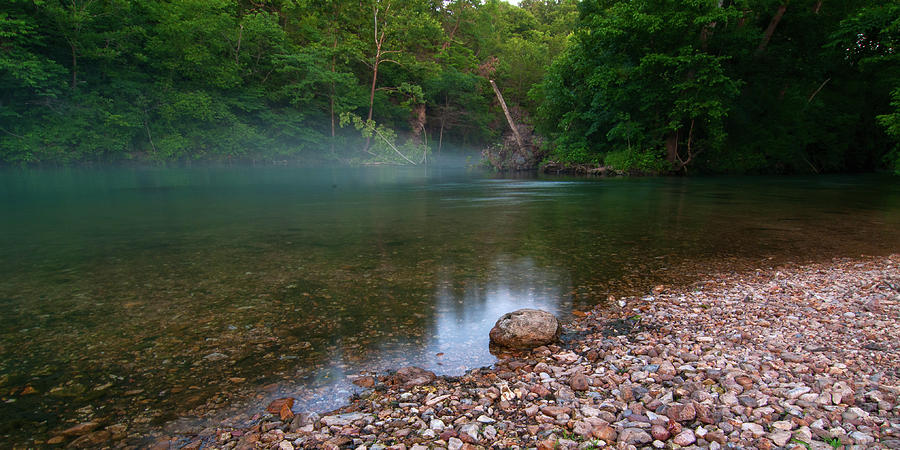 Foggy Bennett Spring by Steve Stuller Foggy Bennett Spring by Steve Stuller