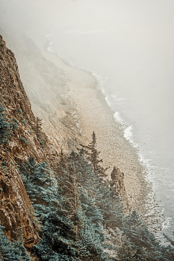 Foggy Cliff on the Oregon Coast Photograph by Stuart Litoff