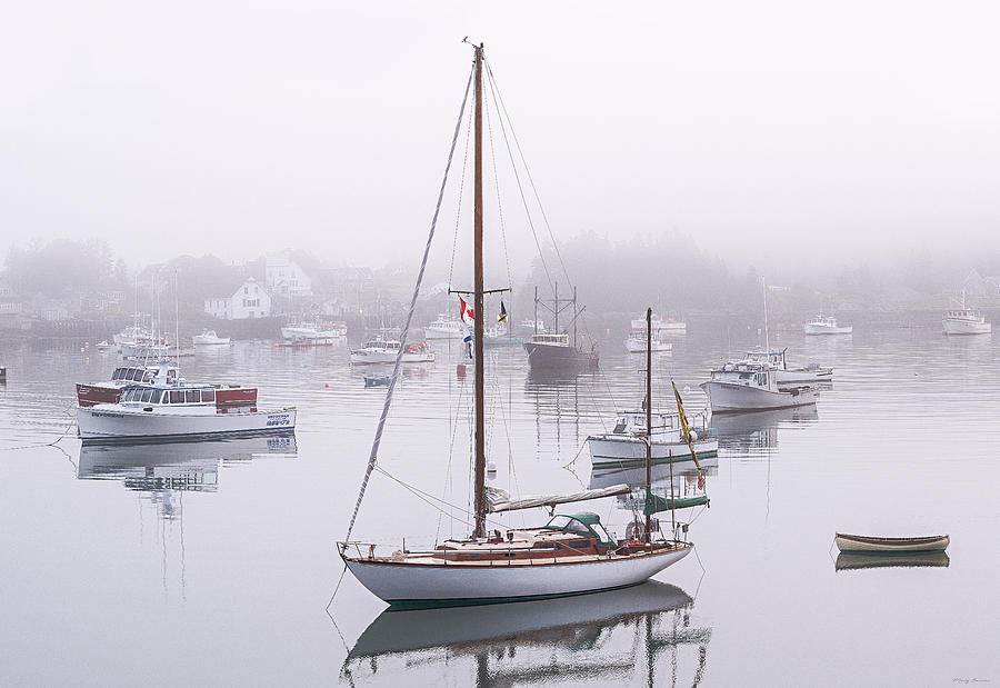 Foggy Cutler Harbor Maine Photograph by Marty Saccone
