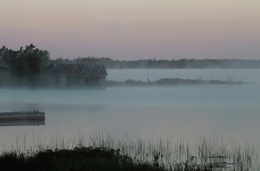 Foggy Dawn Photograph by Debbie Oppermann