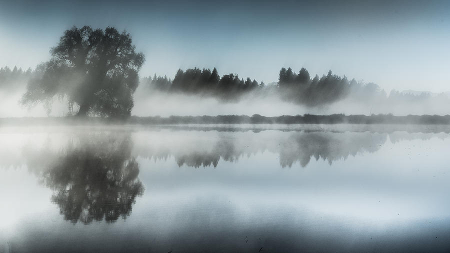 Mist Photograph - Foggy Day by Ulrike Eisenmann