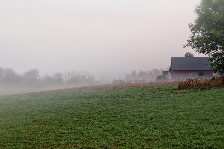 Foggy Farm Photograph by David Pratt