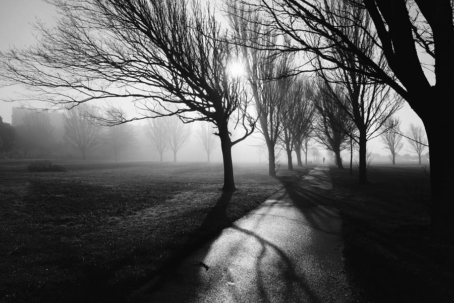 Fog Photograph - Foggy February by Elizabeth Allen