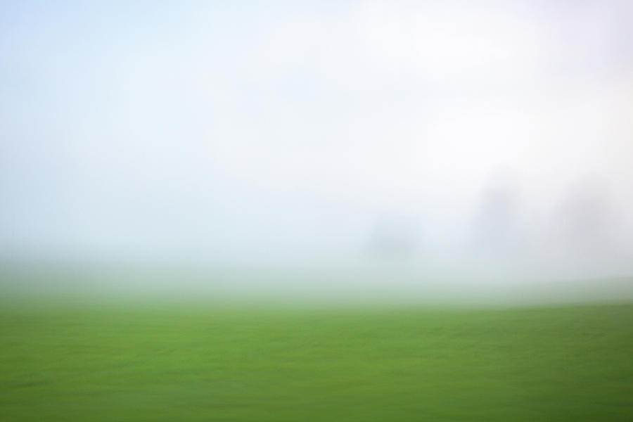 Foggy Field by Kolter Gunn Foggy Field by Kolter Gunn