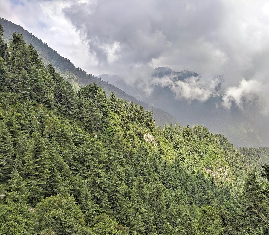 Foggy Green Mountains of Murree Photograph by Zahra Majid