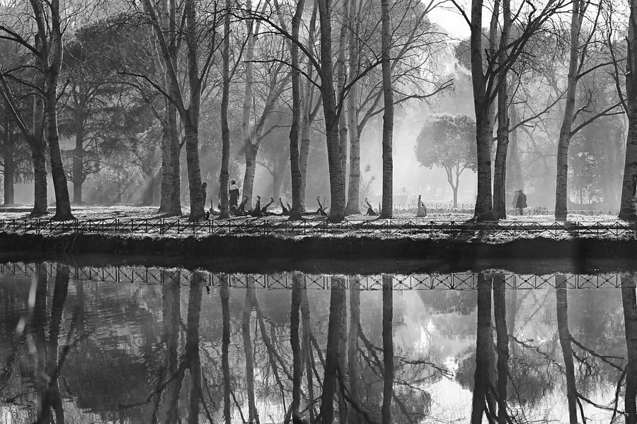Tree Photograph - Foggy Gym by Piergiuseppe Cancellieri