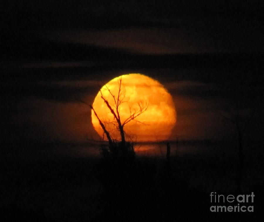 FOGGY HARVEST MOON by Barbara Henry FOGGY HARVEST MOON by Barbara Henry
