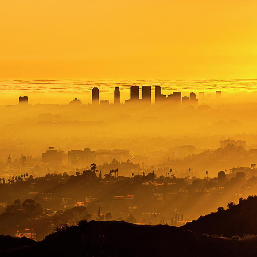 Foggy La Sunset Photograph by Carl Larson Photography