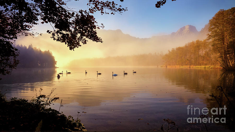 Foggy Lake Photograph