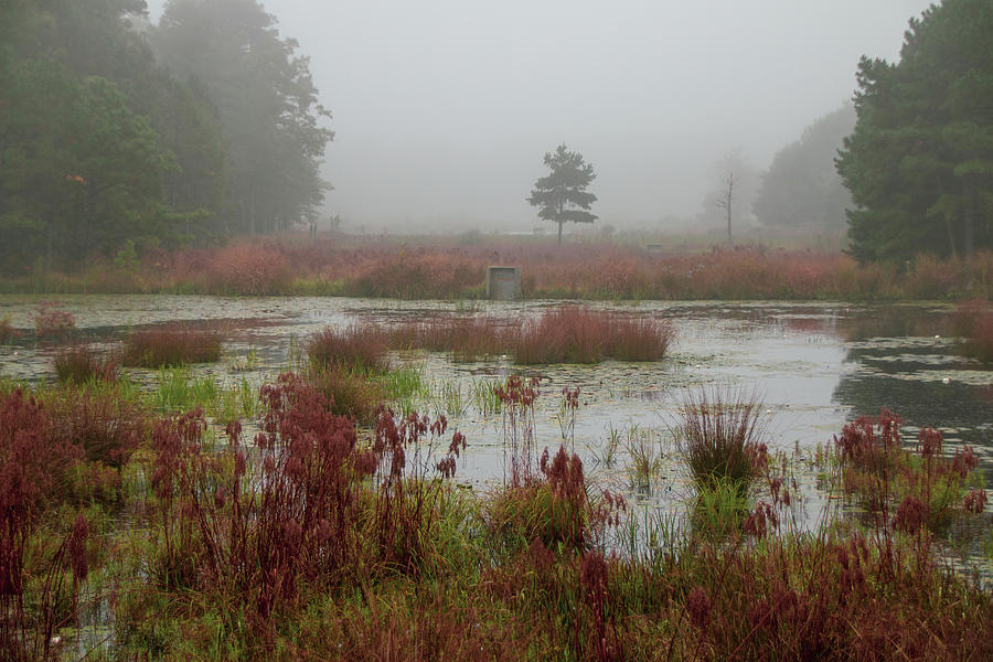 Foggy Morning at Cloverdale Farm Photograph by Kristia Adams
