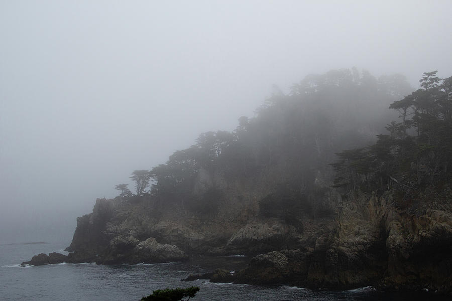 Foggy Morning at Point Lobos 1 by Marie Leslie Foggy Morning at Point Lobos 1 by Marie Leslie