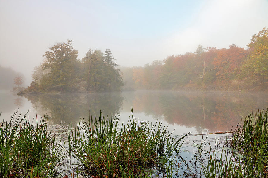 Hudson Valley Photograph - Foggy Morning At Sanctuary Pond by Jeff Severson Hudson Valley Photograph - Foggy Morning At Sanctuary Pond by Jeff Severson