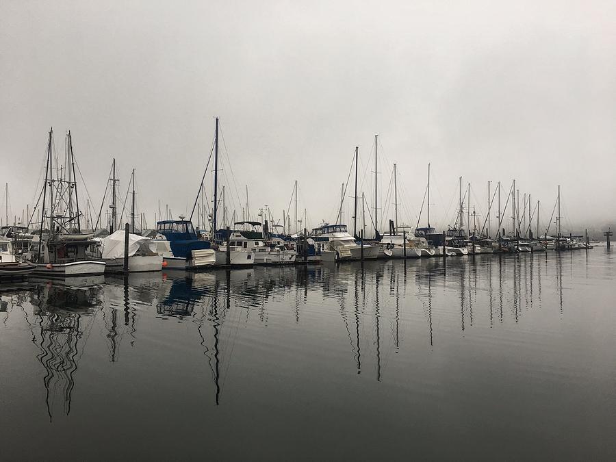 Foggy Morning at the Marina Photograph by Jerry Abbott