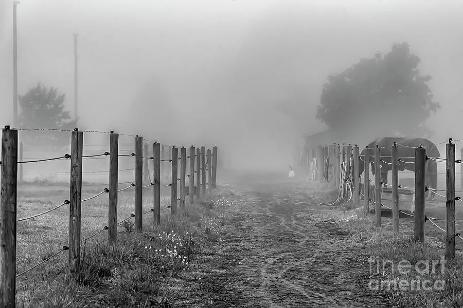Foggy Morning Country Lane Photograph