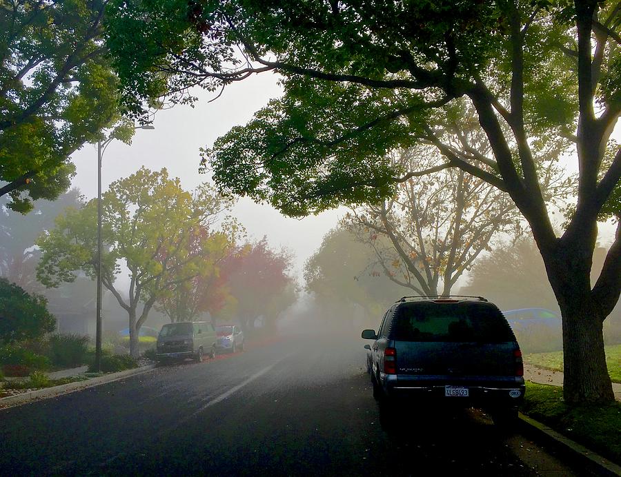 Foggy Morning East Photograph