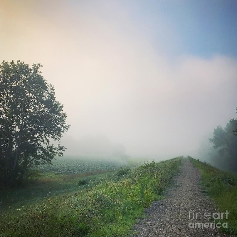foggy morning I Photograph by HD Connelly