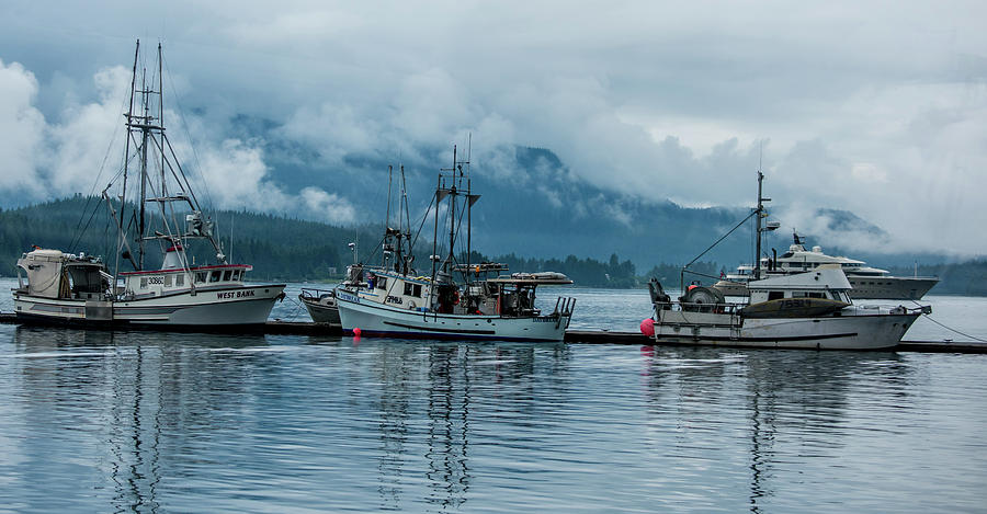 Foggy Morning in Juneau Photograph by Marcy Wielfaert