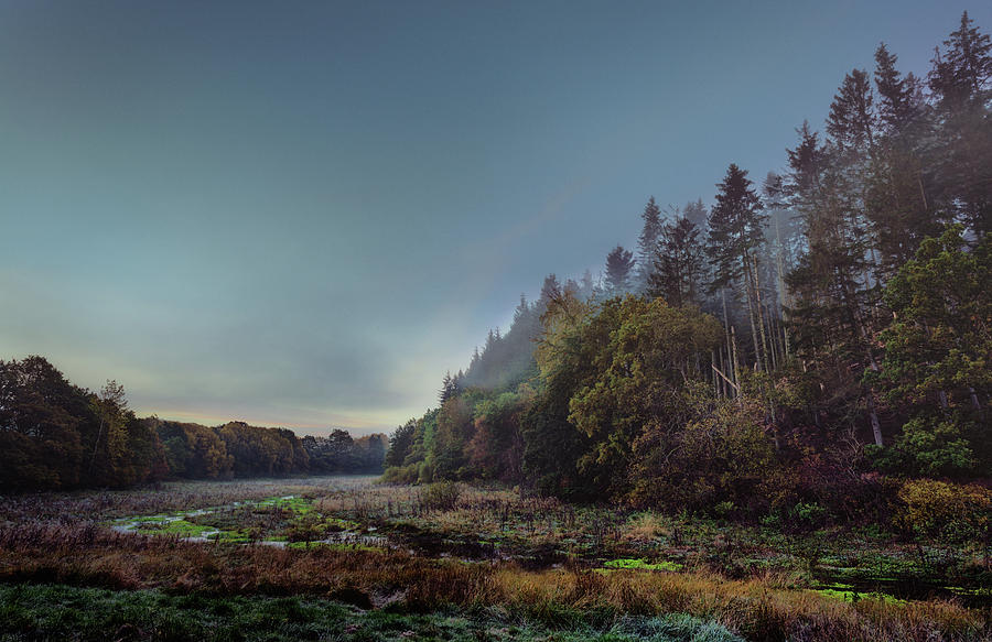 Foggy morning in Rebild Hills Photograph by Bo Nielsen
