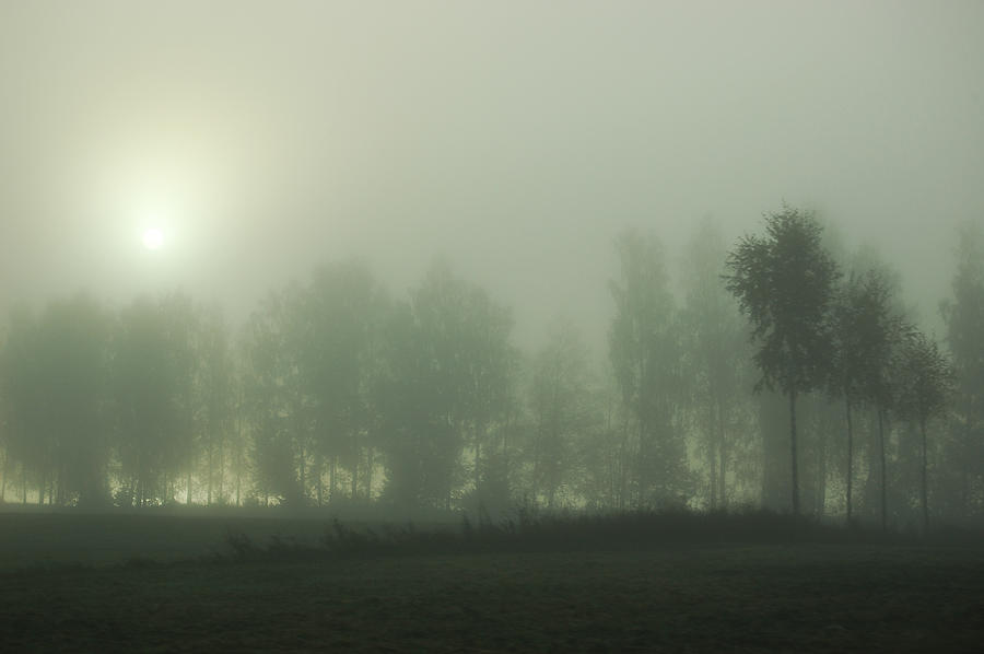 Foggy Morning In The Countryside Of Photograph by Ceneri