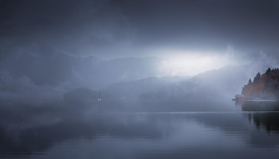Tree Photograph - Foggy Morning In Walchensee 7r20727 by Joanaduenas