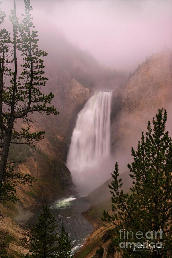 Foggy Morning In Yellowstone National Park Photograph