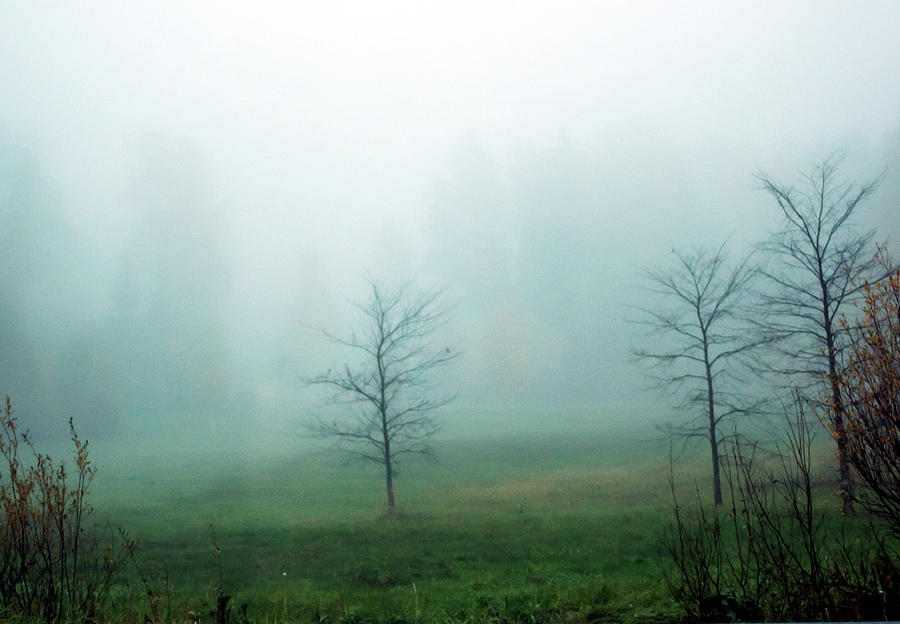 Foggy morning Photograph by Jarmo Honkanen
