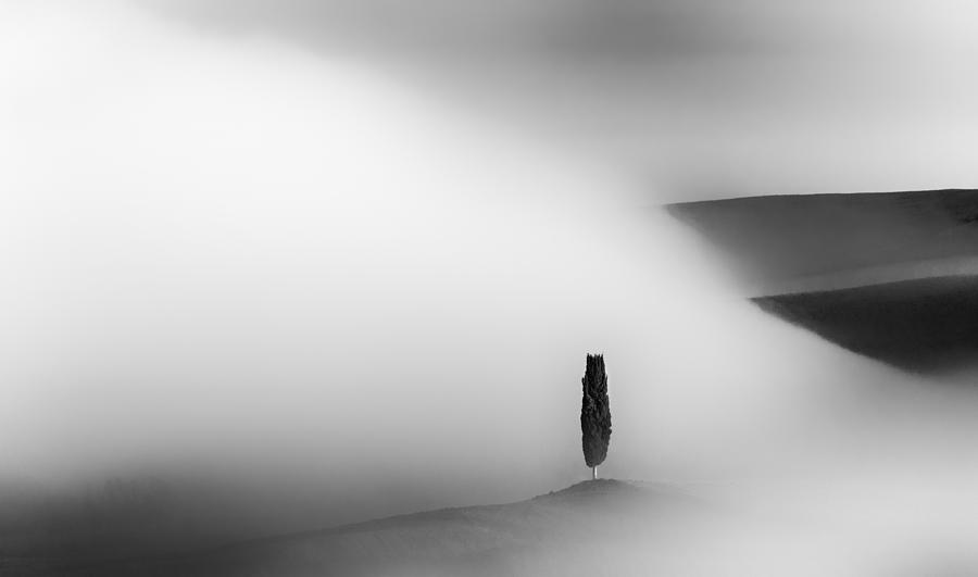 Black And White Photograph - Foggy Morning by Jure Kravanja