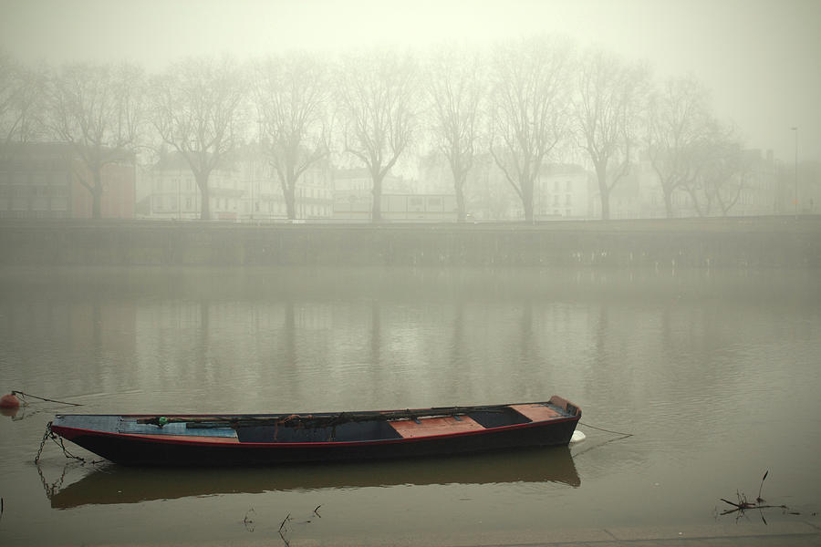 Foggy Morning Photograph by Louise Legresley