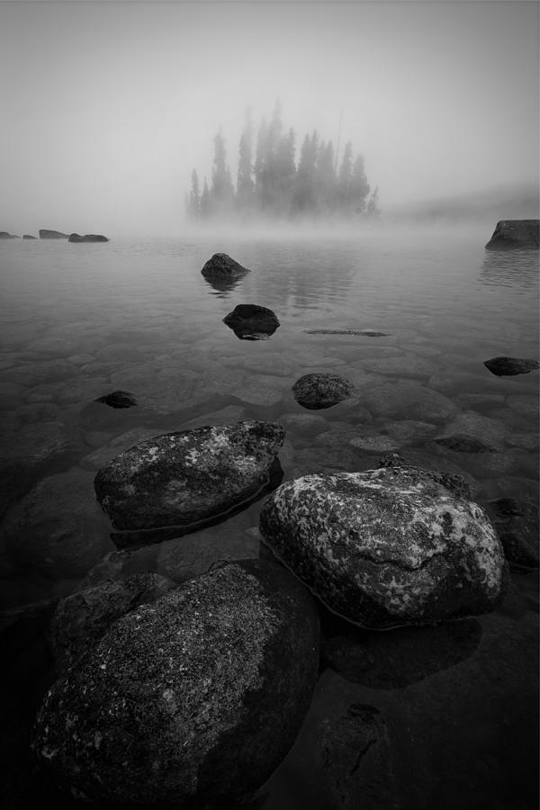 Black And White Photograph - Foggy Morning by Lydia Jacobs