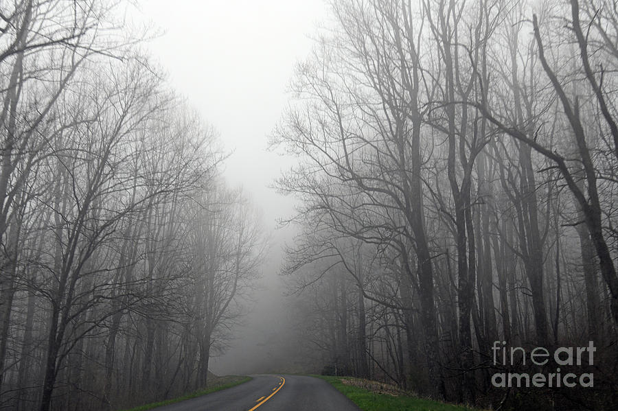 Foggy Morning on the Blue Ridge Parkway Photograph by Kerri Farley