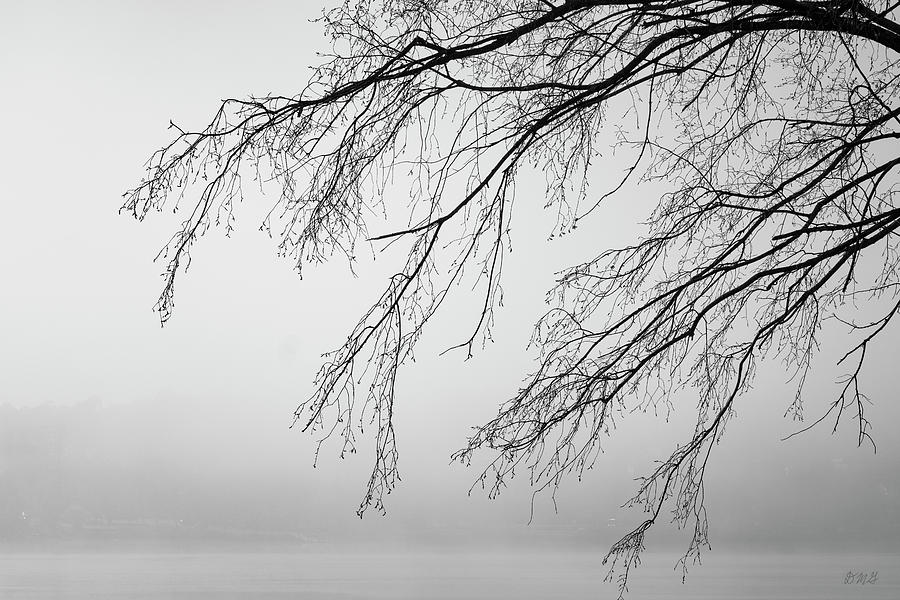 Black And White Photograph - Foggy Morning Taunton River II BW by David Gordon