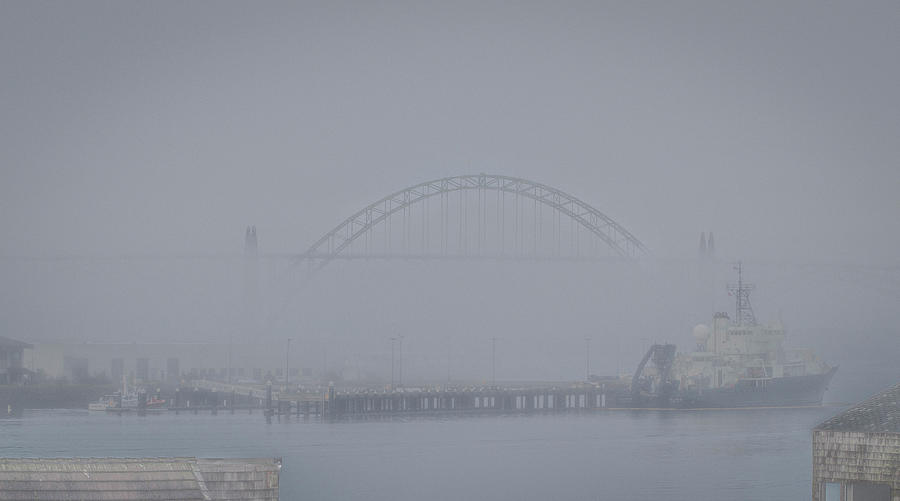 Foggy Newport Photograph by Jean Noren