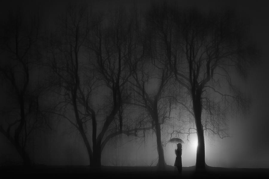 Foggy Night Photograph by Rob Li