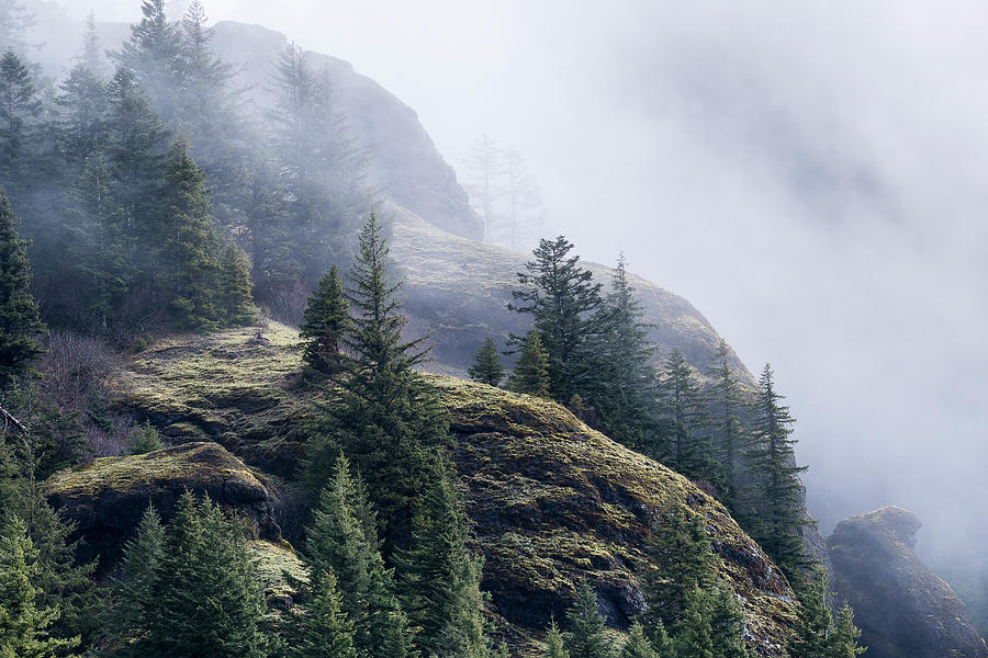 Foggy on Saddle Mountain Photograph by Robert Potts