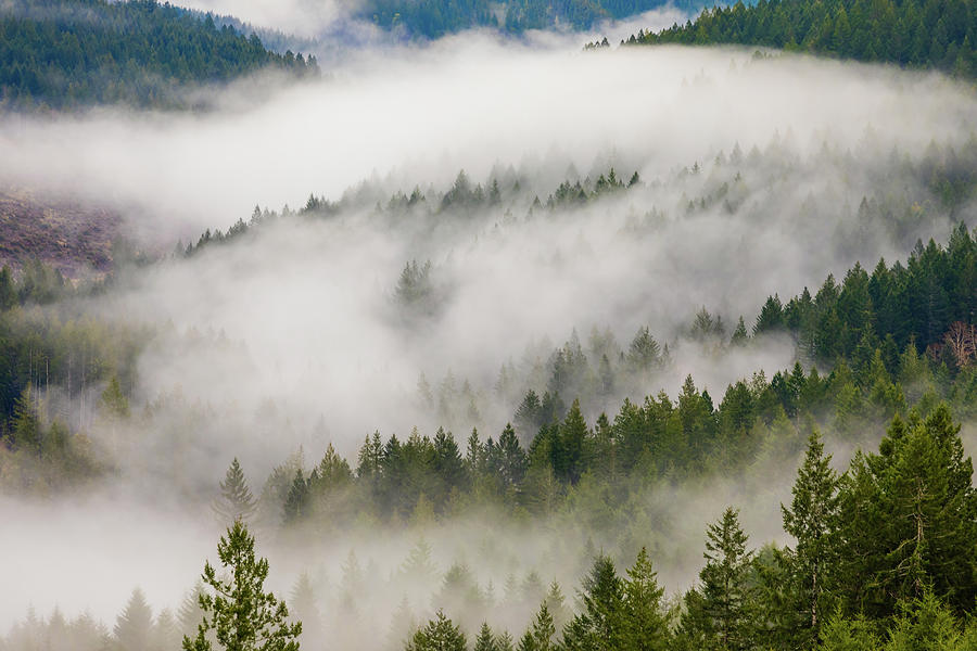 Foggy Oregon Valley Photograph by Brian Knott Photography