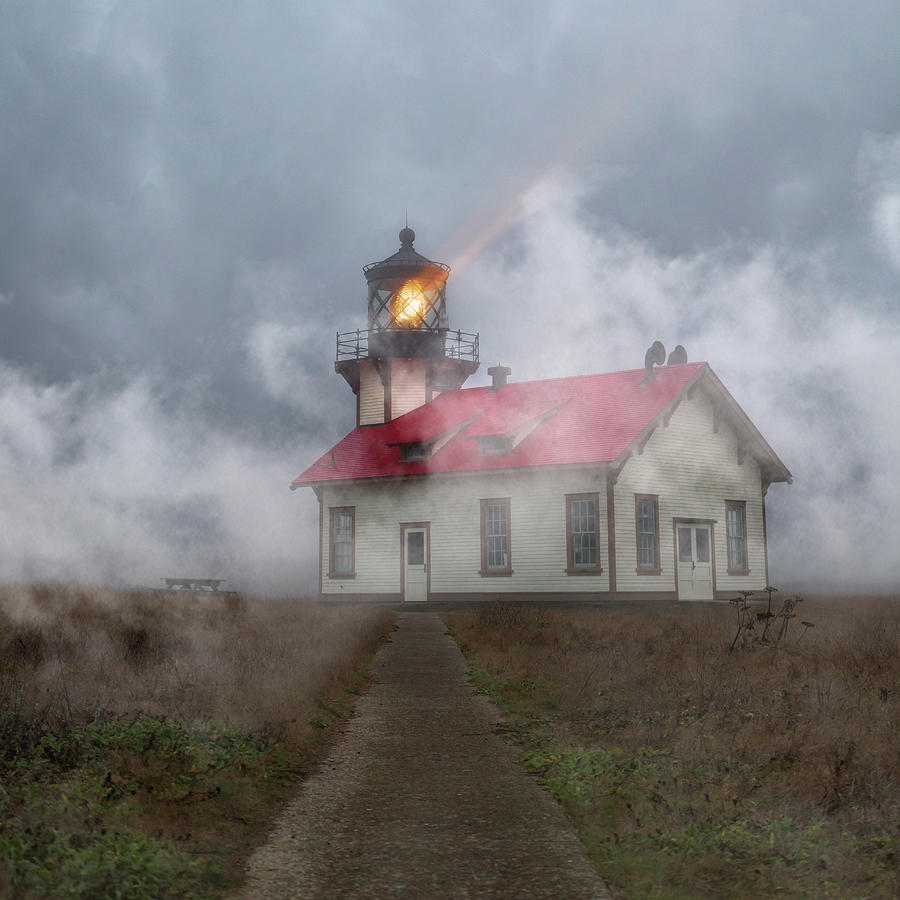 Sunset Photograph - Foggy Point Cabrillo Lighthouse California by Betsy Knapp