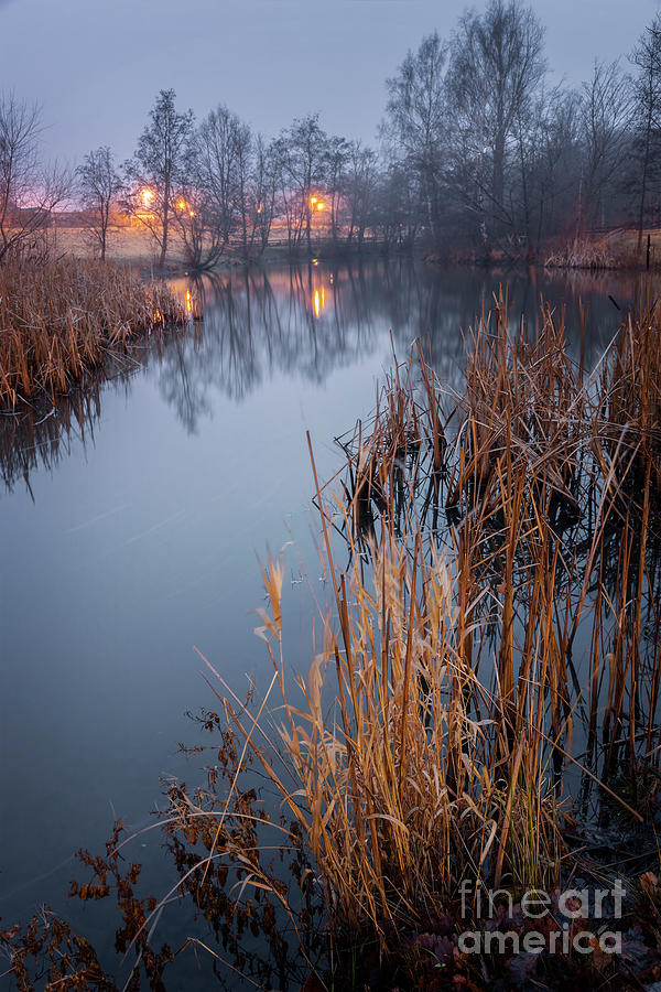 Foggy pond landscape in evening Photograph by Sophie McAulay