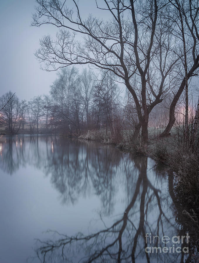 Foggy pond landscape Photograph by Sophie McAulay