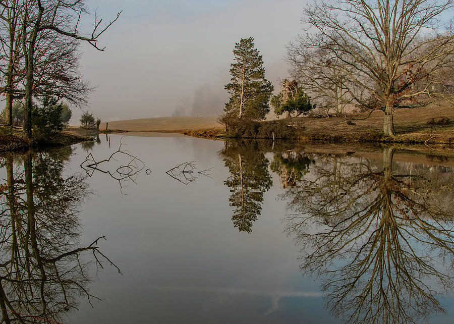 Foggy Reflections on a February Morning Photograph by Marcy Wielfaert
